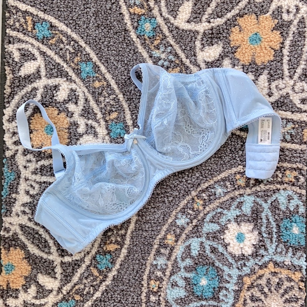 Beautiful Wacoal lt. blue lace bra NWOT $65RTV 34D
